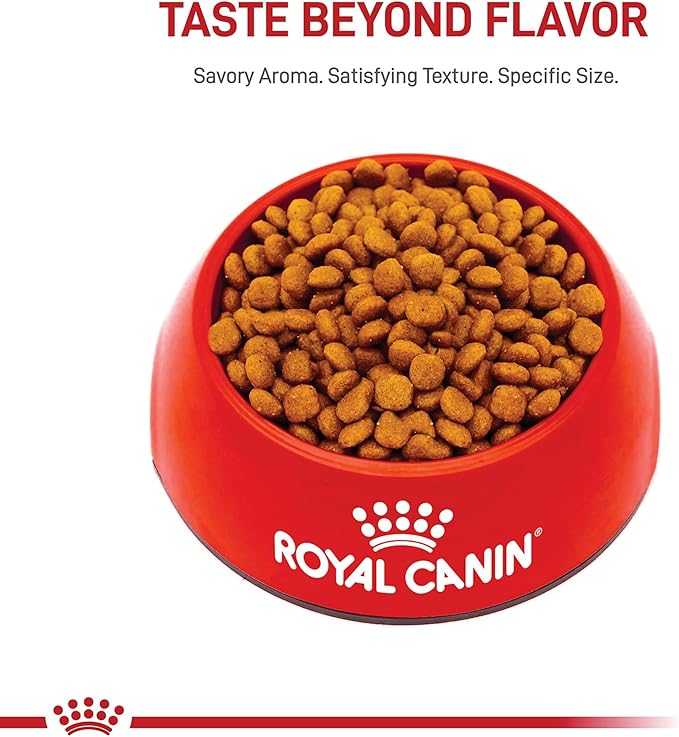 Royal Canin Breed Health Nutrition Miniature Schnauzer Puppy Dry Dog Food, 2.5 lb Bag