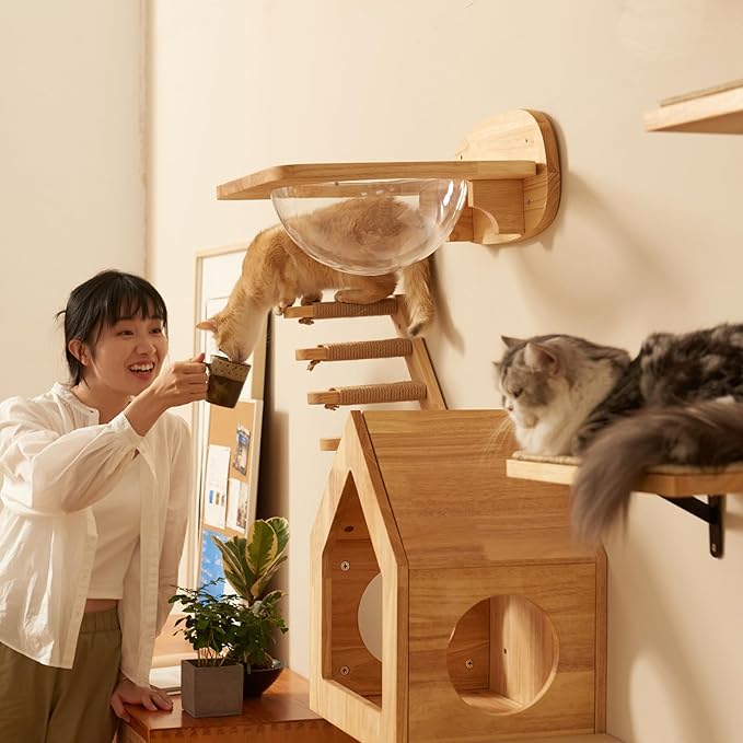 FUKUMARU Cat Climbing Shelf Wall Mounted, Four Step Cat Stairway with Jute Scratching for Kitten Perch Platform Walls Furniture - Right to Left