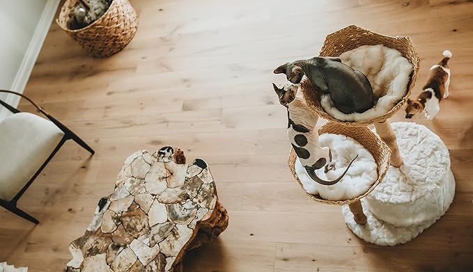 Modern Cat Tree Tower, Real Branch luxury Cat Condo, Wood Cat Tower, Cat Scratching Tree, Cat Condo, Cat Lover Gift, Luxury Cat, Cat Gifts by Mau Lifestyle