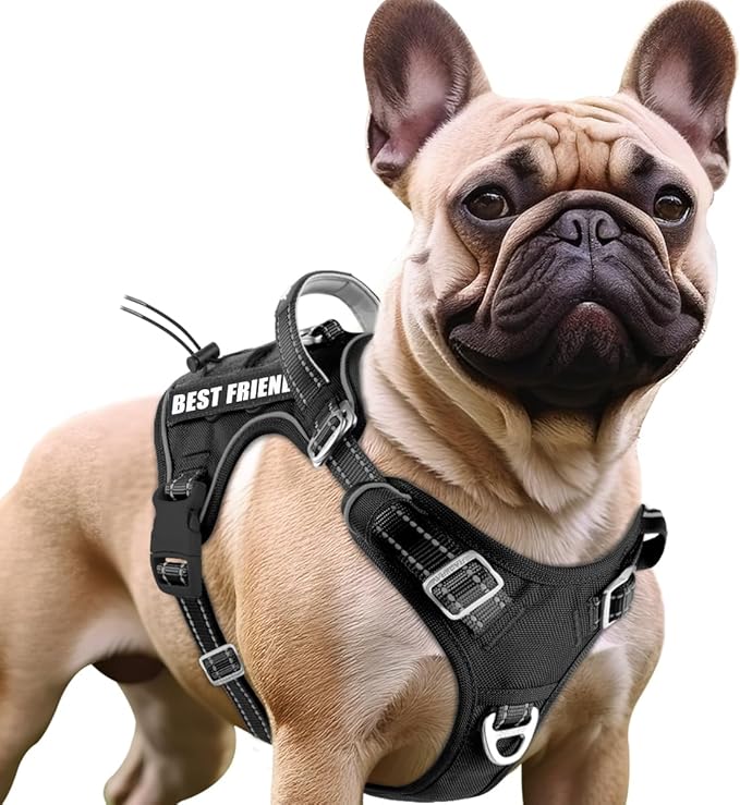 BARKBAY Service Dog Vest Tactical Dog Harness Medium Large Sized Dog Tags Personalized No Pull Adjustable Harness Reflective K9 Working Training Easy Control Military Molle System(Black,M)