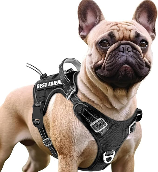 BARKBAY Service Dog Vest Tactical Dog Harness Medium Large Sized Dog Tags Personalized No Pull Adjustable Harness Reflective K9 Working Training Easy Control Military Molle System(Black,M)