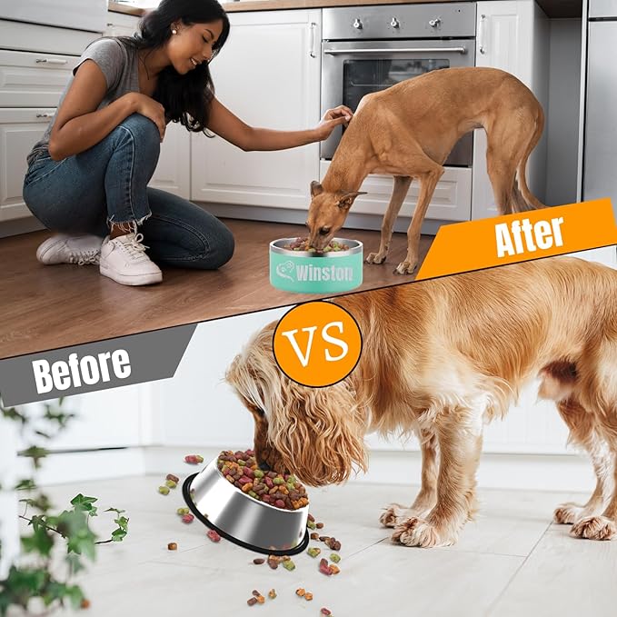 Custom Personalized Dog & Cat Bowls - Stainless Steel Non-Slip Water & Food Dishes - Easy to Clean, Dishwasher Safe - Small, Medium, Large Sizes (Green)