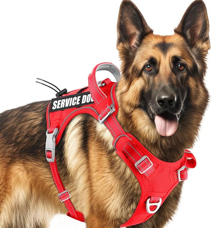 BARKBAY Service Dog Vest Tactical Dog Harness Medium Large Sized Dog Tags Personalized No Pull Adjustable Harness Reflective K9 Working Training Easy Control Military Molle System(Red,XL)