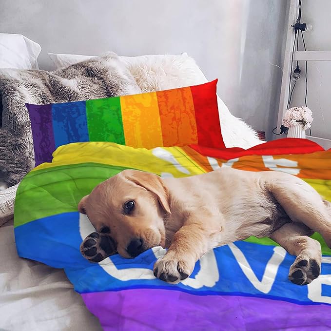 Flannel Blanket LGBT, Love is Love Super Soft Anti-Pilling Pride Throw Blankets - Lesbians Gays Bisexuals Transgender - Lightweight Blanket for Sofa Couch Bed 60x80 Inches