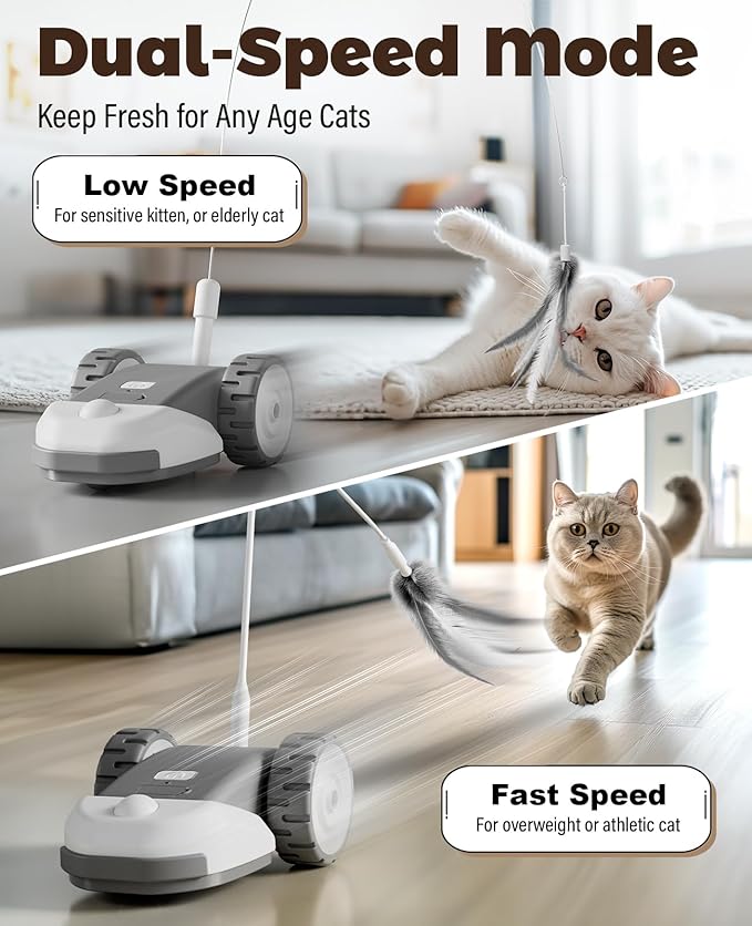 CYROS 3-in-1 Interactive Cat Toy - 2-Speed Automatic Moving Mouse Cat Toys Self Play with 2pcs Hanging Feather String Ribbon and Wiggly Silicone Mice Tail for Bored Indoor Adult Cats Kittens