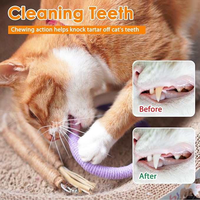 Tocirelo Cat Toys Silvervine Sticks - 8Pack Natural Silvervine Sticks for Cats, Cat Chew Toy for Teeth Cleaning, Interactive Kitten Chew Ropes to Redirect Chewing Habits, Kitty Chew Sticks