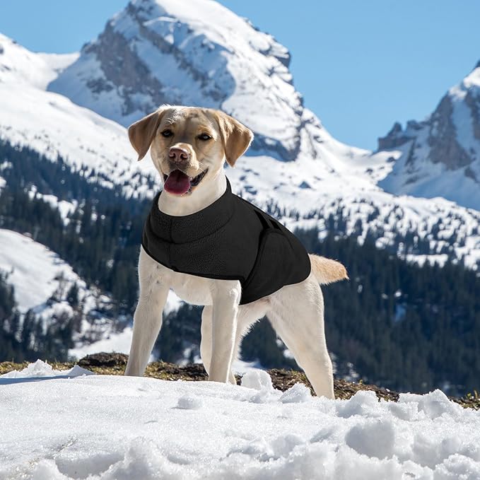 Queenmore Small Dog Sweaters, Soft Fleece Vest Pullover Pet Jacket with Leash Hole, Warm Winter Dog Clothes Cold Weather Doggy Dachshund Sweater for Small Dogs Cats Boy or Girl (Black, XS)