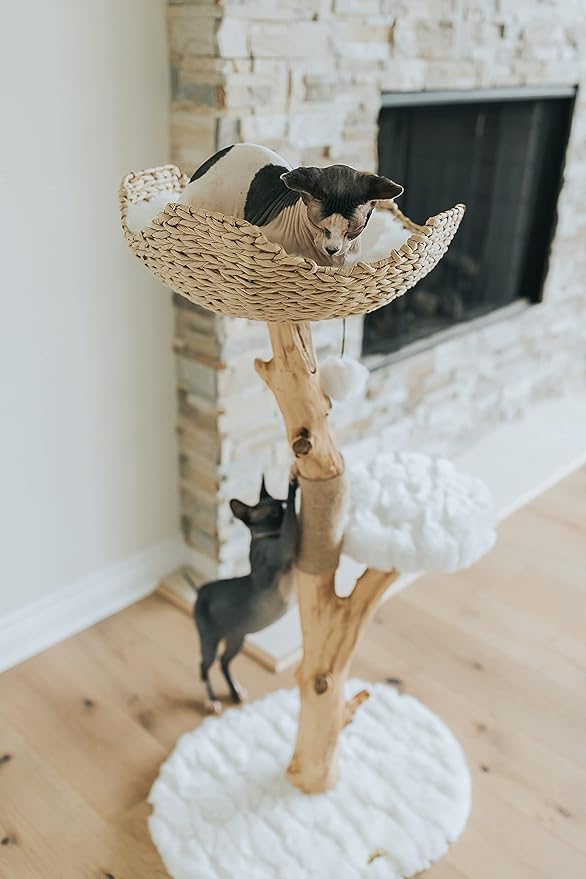 Wooden Cat Climbing Tree Tower, Modern Single Branch Cat Condo, Wood, Cat Lover Furniture Gift by MAU LIFESTYLE (Alpine White)