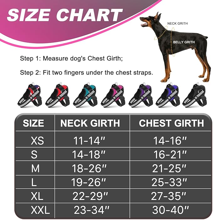 Essential Dog Harness with 3 Leash Clips - No-Pull, Adjustable, Comfortable Pet Vest Harness for Small to Large Dogs - Easy On, No Choke, Reflective, Padded Harness for Walking and Training