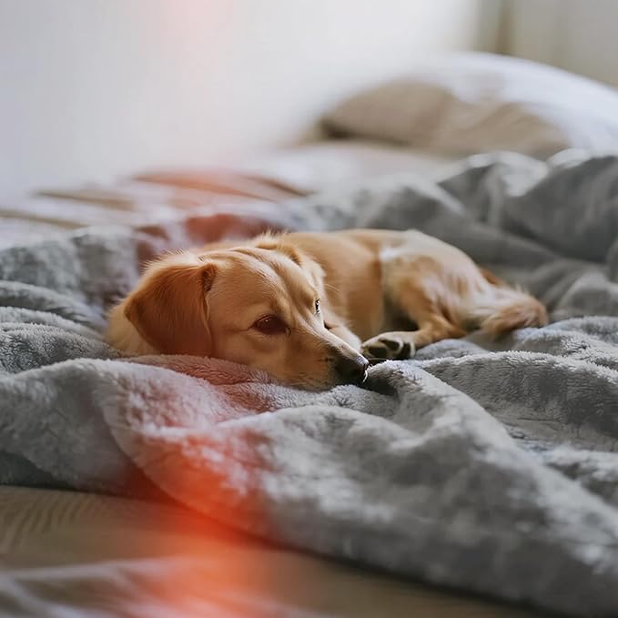 gogobunny Waterproof Blanket for Bed Couch Sofa, Liquid Pee and Fur Proof Pet Blanket for Dog Puppy Cat, Reversible Sherpa Fleece Throw Blanket Furniture Cover Protector (Grey, 50x60 inches)