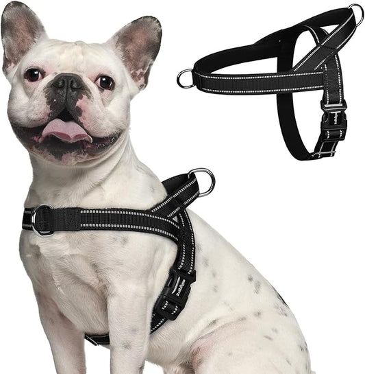 rabbitgoo Dog Harness No Pull, Quick Fit for Medium Sized Dog with Soft Padded Handle, Chest Adjustable Reflective Pet Vest, No Choke Escape Proof for Walking Training, Blue M