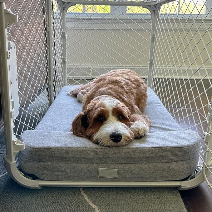 Diggs Bolstr Orthopedic Dog Bed with Headrest - Dog Crate Bed for Evolv Crate & Other Standard Pet Kennels - Durable & Comfortable - (Large)