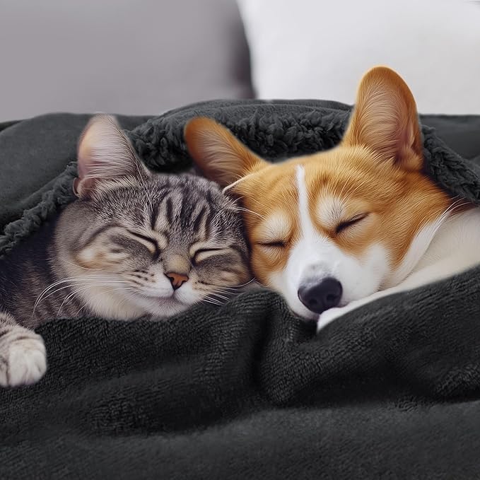 Luciphia Waterproof Bed Blanket Washable,Soft Sherpa Fleece Puppy Reversible Throw Blankets for Small Medium Dog Cat,Furniture Cover Protector Couch Bed from Liquid Pee and Pet Fur, Black,57" x 40"