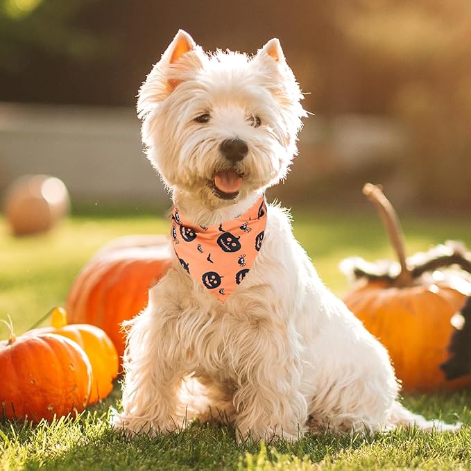 Kytely Halloween Dog Bandanas 2 Pack, Reversible Triangle Dog Bandanas for Boy and Girl, Multiple Sizes Offered, Pumpkin and Spider Web Bibs Fall Pet Scarf, Premium Durable Fabric (Small)