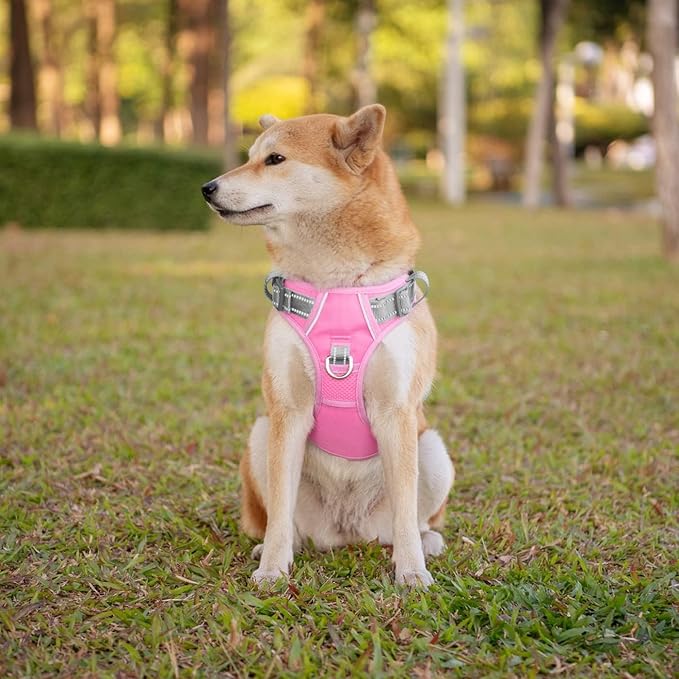 PHOEPET No Pull Dog Harness, Unique Colors Reflective Adjustable Dog Vest, with Soft Training Handle Metal Clips for Small Medium Large Dogs (Baby Pink Base & Grey Straps,M)