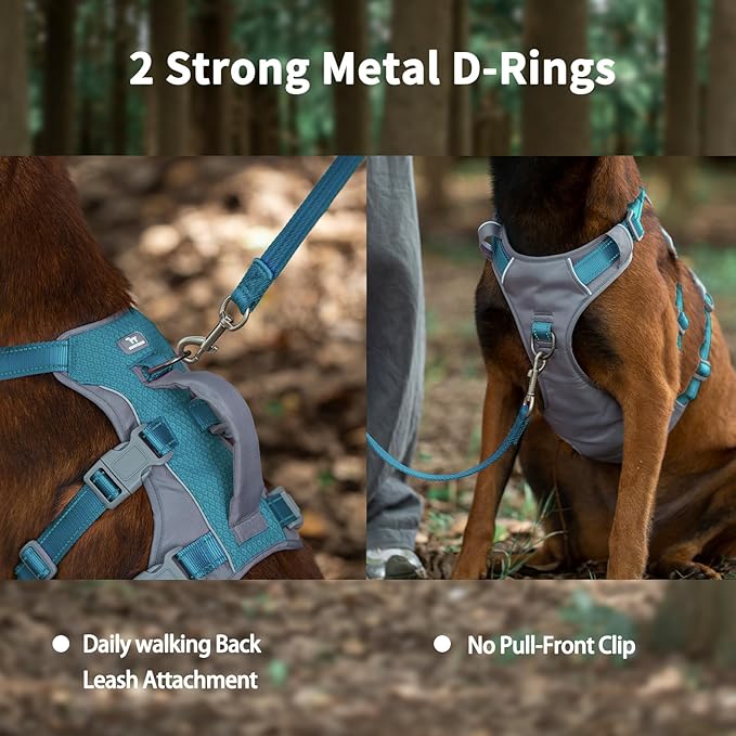 Huntboo Reflective Dog Harness with Handle, Escape Proof, No Slip, Breathable, Lightweight, Adjustable Lift Harness for Small, Medium, and Large Dogs Walking, Training, and Running Gear(Teal Blue,M)