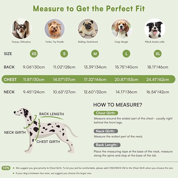 Queenmore Warm Dog Sweater, Soft Pet Knitwear, Knitted Pullover, Vlentines Day Gifts Winter Pet Clothes for Small Medium Dogs Cats