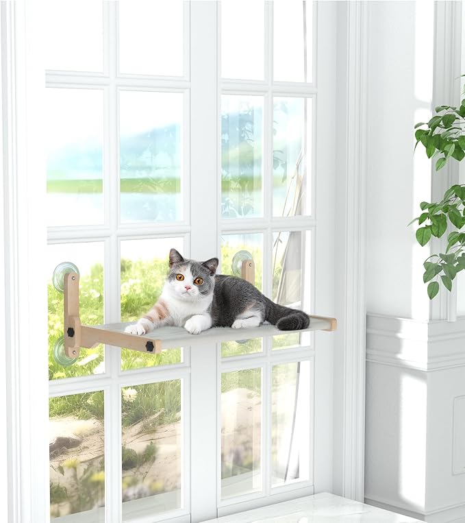 Foldable Cat Window Bed, Solidwood Cat Window Perch with Suction Cups, Heavy Duty Cordless Hammock Seat for Indoor Cats (Large Size)
