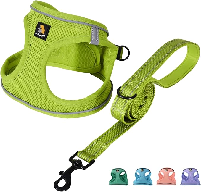 BELLA & PAL Step in Vest Harness for Small and Medium Dogs, No Pull Small Dog Harness with Leash Set, Comfortable Air Mesh Dog Vest Harness with Reflective Strip (Avocado Green, XS)