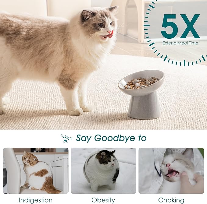 vancasso Ceramic Slow Feeder Cat Bowl, 6.25 Inch Elevated Cat Slow Feeder Bowl, Anti Vomiting for Dry and Wet Food, Grey