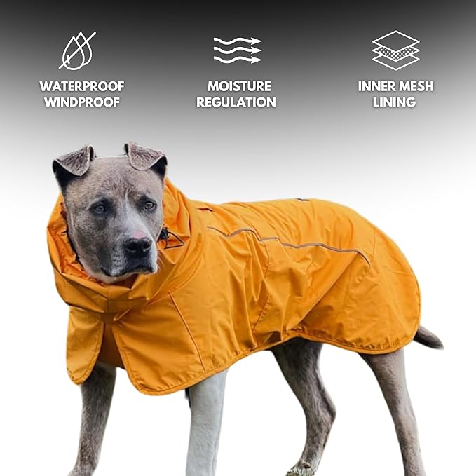 Spark Paws Dog Raincoat, Waterproof Windproof Rain Jacket, for Small Medium Large Extra Large Dogs, Reflective Breathable Full-Body Coverage Dry Suit - Mustard Yellow - M