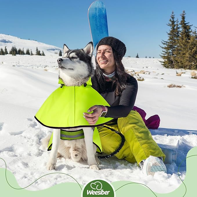 Weesiber Dog Raincoat, Waterproof Dog Rain Jacket with Leash Hole, Reflective Puppy Rainwear Hooded Pet Poncho Slicker for Walking (XL, Green)