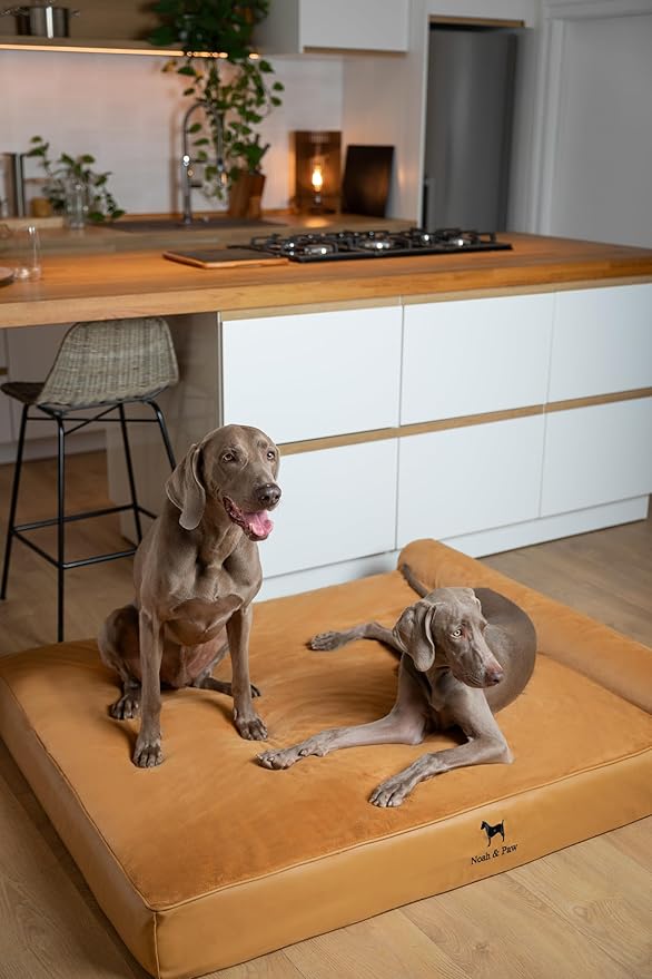 NOAH & PAW Giant Dog Bed XXL 55x45x9.5 Inch, Orthopedic Dog Beds, Eggshell Memory Foam Infused with Cooling Gel, Waterproof, Machine Washable, Includes Inner Cover (Faux Leather)