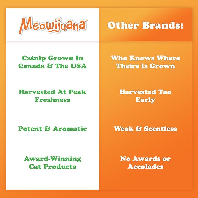 Meowijuana | Dried Catnip Buds Jar | Premium Organic Catnip | Grown in North America | Perfect for Cat Toys | Fresh Catnip for Extended Playtime | Elevate Your Cat's Enjoyment