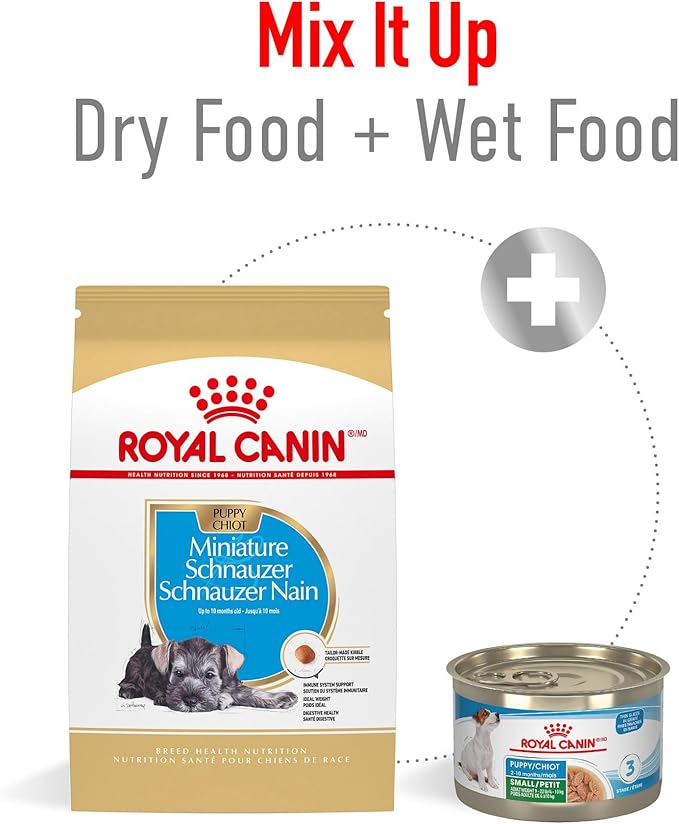 Royal Canin Breed Health Nutrition Miniature Schnauzer Puppy Dry Dog Food, 2.5 lb Bag
