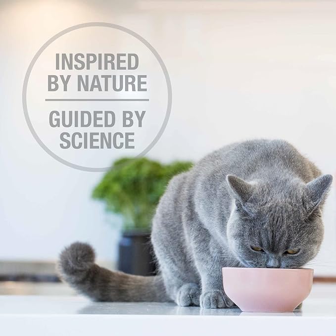 Feline Natural High Protein Dry Cat Food, Freeze-Dried Diet with 98% Meat, Organs & Seafood, No Peas, Grains, or Artificial Additives, Made in New Zealand, Chicken & Lamb, 3.5oz (Pack of 2)