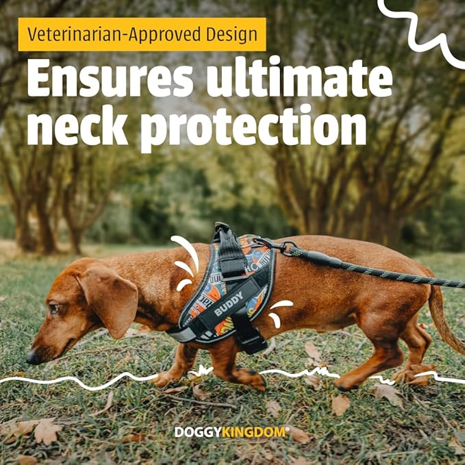 Personalized No-Pull Dog Harness with Name Patch, Adjustable, Reflective, Padded, Heavy Duty Pet Vest to Prevent Tugging, Pulling, or Choking, Training and Walking, USA, XS