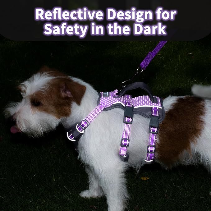 Huntboo Reflective Dog Harness with Handle, Escape Proof, No Slip,Breathable, Lightweight,Adjustable Lift Harness for Small,Medium,and Large Dogs Walking, Training,and Running Gear(Lavender Purple,XS)