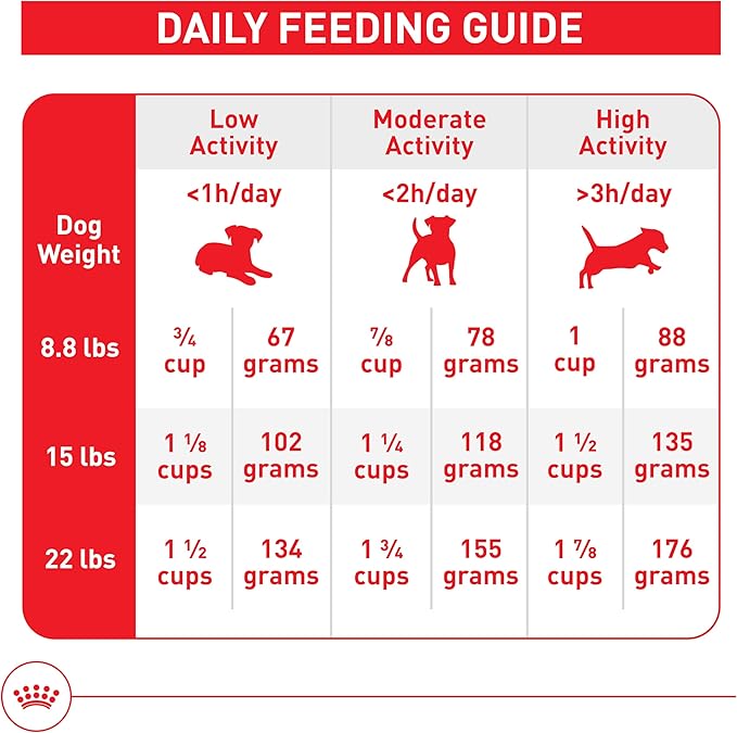 Royal Canin Size Health Nutrition Small 8+ Senior Dry Dog Food, 13 lb Bag