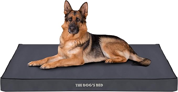 The Dog’s Bed Orthopedic Dog Bed, XL Grey with Black Trim, Waterproof, Supportive Dog Bed with Washable Replaceable Covers