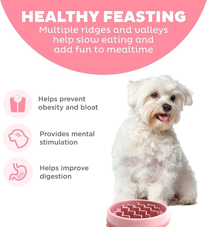 Outward Hound Small Fun Feeder Slow Bowl, Puzzle for Fast Eaters, Puppies, Cats & Small Dogs, Wet or Dry Food, Helps Prevent Bloat & Aid Digestion, 3/4 Cup Capacity, Non-Slip, Made Without BPA, Pink