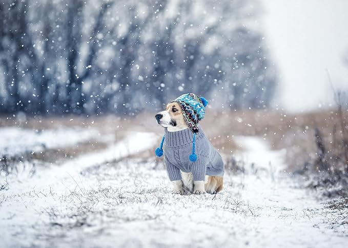 Queenmore Small Dog Pullover Sweater, Cold Weather Cable Knitwear, Classic Turtleneck Thick Warm Clothes for Chihuahua, Bulldog, Dachshund, Pug, Yorkie (Grey, X-Large)