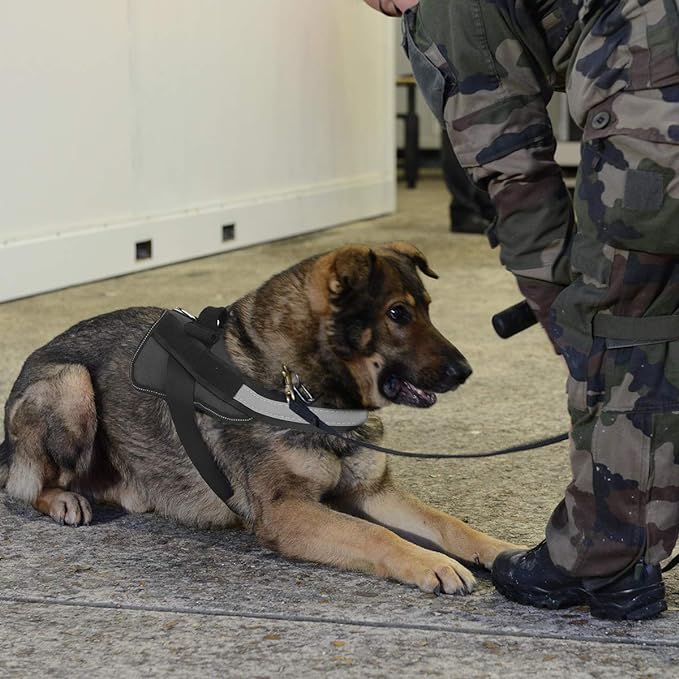 Bolux Dog Harness, No-Pull Reflective Dog Vest, Breathable Adjustable Pet Harness with Handle for Outdoor Walking - No More Pulling, Tugging or Choking (Black, M)