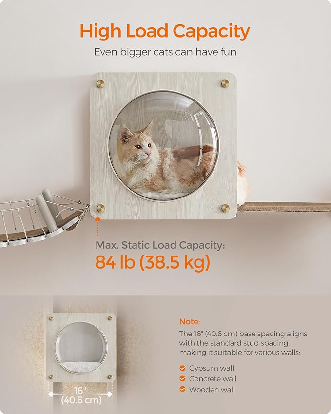 Feandrea Clickat Collection - No.010 Cat Cave, Cat Wall Condo House with Hammock, Observation Window, Extremely Quick Assembly, Unlimited Expandability, Replaceable Module and Cushion