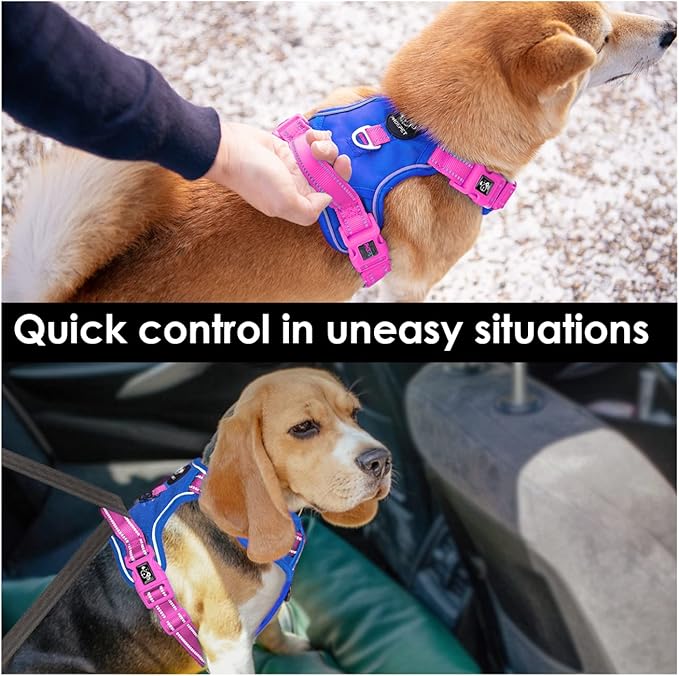 PHOEPET No Pull Dog Harness, Unique Colors Reflective Adjustable Dog Vest, with Soft Training Handle Metal Clips for Small Medium Large Dogs (Royal Blue Base & Pink Straps,M)