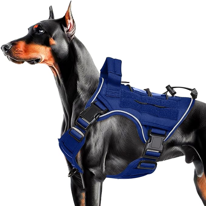 Heavy-Duty Tactical Dog Harness for Large Dogs, No Pull Adjustable Reflective Pet Vest with Molle System, K9 Military-Grade Control for Service Training, Outdoor & 10+ Breeds, Dazzling Blue, Medium