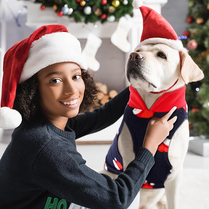 Reginary 10 Pack Dog Sweaters Fleece Pet Dog Clothes with Leash Ring Soft Warm Winter Puppy Plaid Shirt(Large ，Bright)