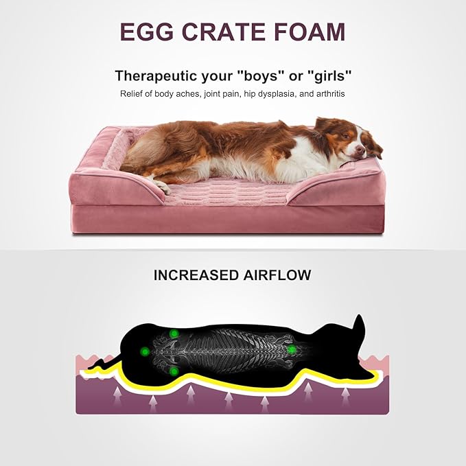 FURTIME Orthopedic Dog Beds - Waterproof Ultra Comfy Supportive Foam Pet Couch with Removable Washable Cover, Egg Foam, Nonskid Bottom