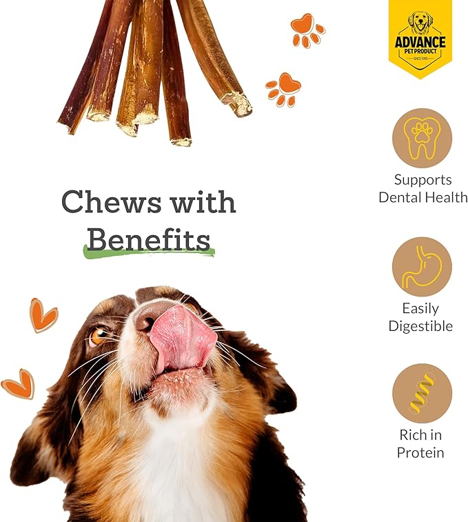 Advance Pet Products 6 Inch Bully Sticks (Pack of 10) - 100% Beef, Odor Free Dog Chews for Aggressive Chewers - Long Lasting, Gluten-Free, Easy to Digest, High Protein & Rawhide Free Chews for Dogs