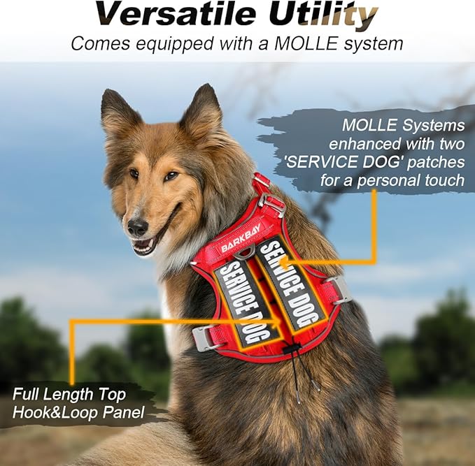 BARKBAY Service Dog Vest Tactical Dog Harness Medium Large Sized Dog Tags Personalized No Pull Adjustable Harness Reflective K9 Working Training Easy Control Military Molle System(Red,XL)