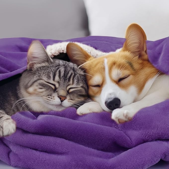 Luciphia Waterproof Bed Blanket Washable,Soft Sherpa Fleece Puppy Reversible Throw Blankets for Small Dog Cat,Furniture Cover Protector Couch Bed from Liquid Pee and Pet Fur, Purple White, 40" x 28"