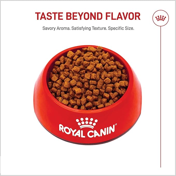 Royal Canin Breed Health Nutrition Yorkshire Terrier Puppy Dry Dog Food, 2.5 lb Bag