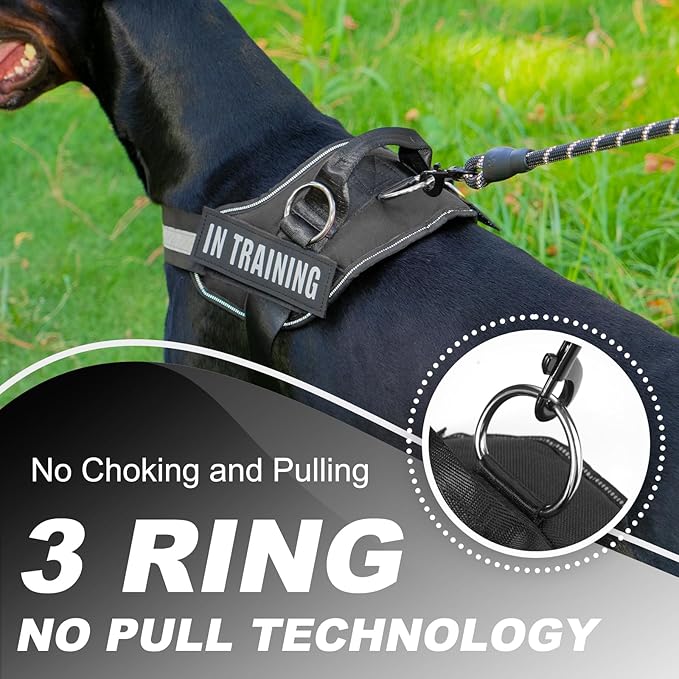 Essential Dog Harness with 3 Leash Clips - No-Pull, Adjustable, Comfortable Pet Vest Harness for Small to Large Dogs - Easy On, No Choke, Reflective, Padded Harness for Walking and Training