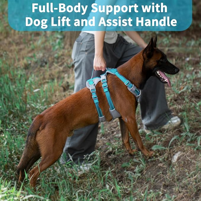 Huntboo Reflective Dog Harness with Handle, Escape Proof, No Slip, Breathable, Lightweight, Adjustable Lift Harness for Small, Medium, and Large Dogs Walking, Training, and Running Gear(Teal Blue,L)