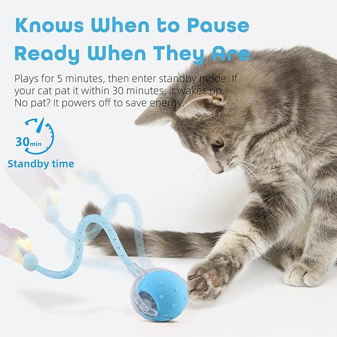 Interactive Cat Toys Ball for Indoor Cats with Elastic Mesh Net Tails – 3 Working Modes for Agile Movement, Motion Activated, USB-C Rechargeable, Ideal for Indoor Cats (Blue)