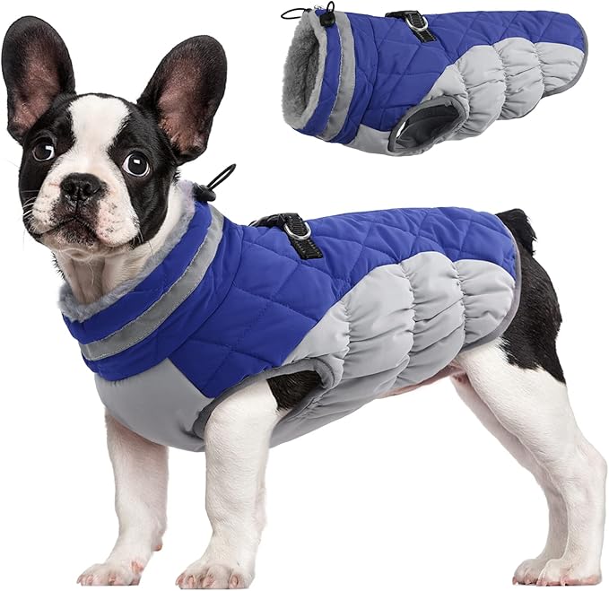 FUAMEY Dog Coat for Small Dogs,Waterproof Dog Winter Jacket with Harness Built in Puppy Cold Weather Coats Reflective Pet Vest with Zipper Warm Fleece Dogs Snowsuit Windproof Blue S